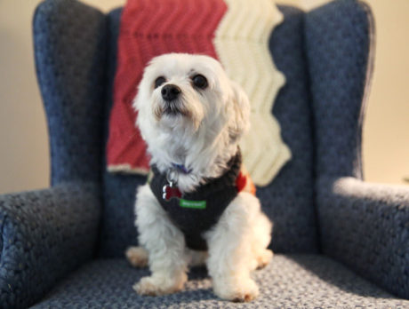 BONZ: Bonzo hears a sad story with a happy ending
