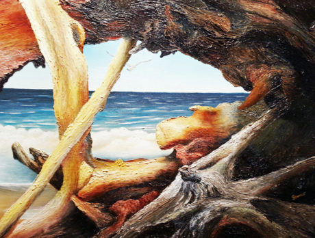 Gallery 14 presents Environmental Learning Center fundraiser’s awards