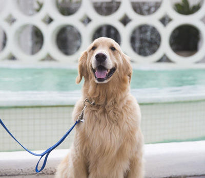 BONZ: Bonzo yaps with hotel greeter at park fundraiser