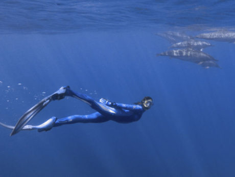 Celine Cousteau