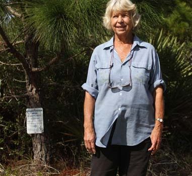 Cut your own Christmas tree and save Scrub Jays
