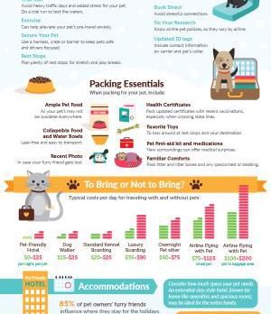 Make the Holidays Furry and Bright: Tips for Holiday Travel with Pets