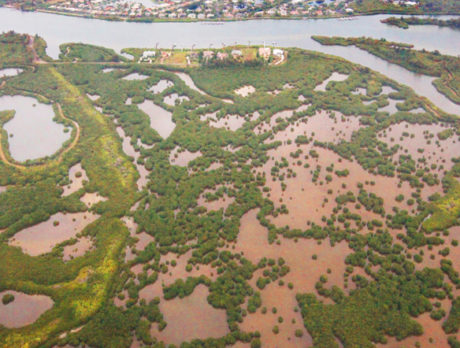 $82 million coming from Congress for algae studies?