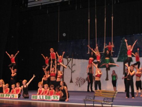Aerial Antics
