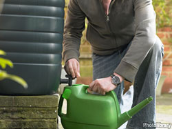 Tips to help you save money and the environment