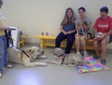 PETS: Training your pet makes life more enjoyable and safe