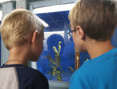 New research and expanded summer camp at marine lab