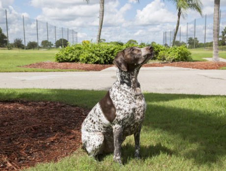 Bonz: A German aristocrat who runs a golf course