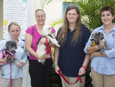 Humane Society Cause for Paws pairs pets with people