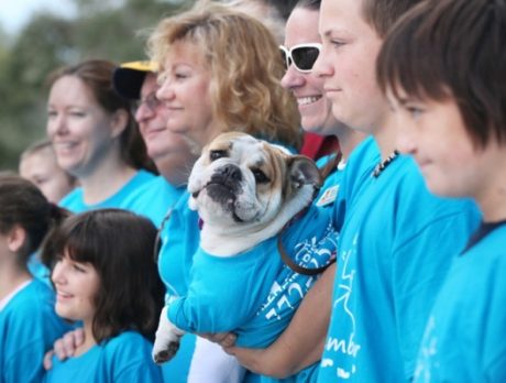 Walk to Remember 2012