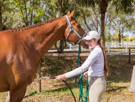 In good steed at 4-H Valentine Open Horse Show