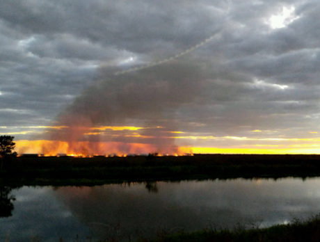 900-acre wildfire in Blue Cypress contained