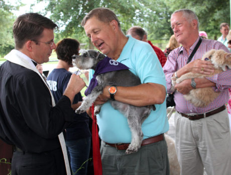 Humane Society honors animals with pet blessing