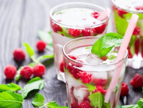 Delightful Summer Sipper Ideas to Serve Your Guests