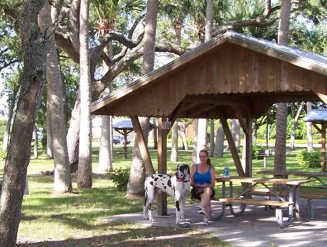 PETS PARADE: Where does your dog go for fun?