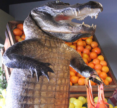 Hale Groves opens store off Miracle Mile, adds more fresh offerings