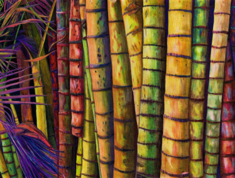 Emily Heinzel, Dawn E. Miller featured at Gallery 14