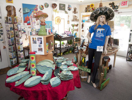 Ditch 13 – The little shop with the curious name
