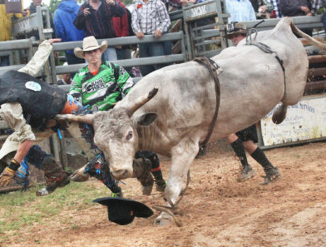 Bull Frog Bash Rodeo