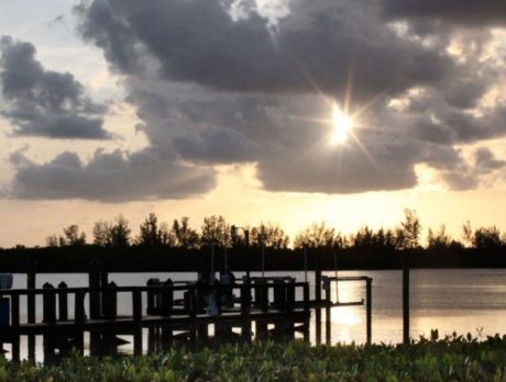 Sebastian Council approves oyster mats, awaits permits