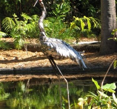 Visit Sculpting Nature Exhibit at McKee Botanical Garden through April 30