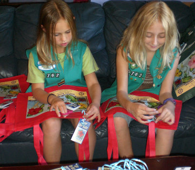 Girl Scouts earn community service hours