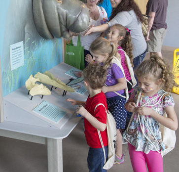Ecofest celebrates ways to help the lagoon