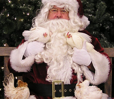 Get Pet Photos with “Santa Paws”
