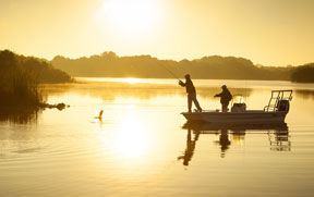 Central Florida’s Hidden Gems Shine in the Summer