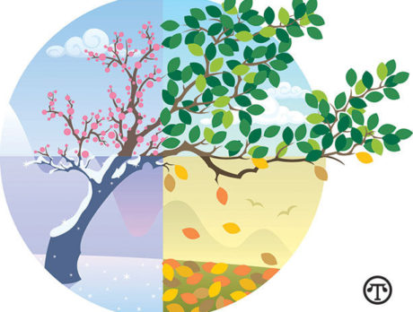 Protect Our Environment Year-Round—Here’s How
