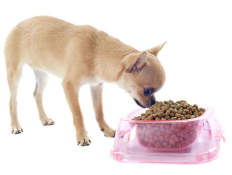 Humane Society needs food for pet pantry