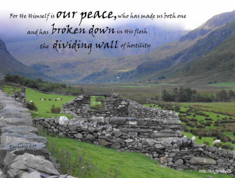 ON FAITH: Anger can kill; love will heal. It’s time to forgive