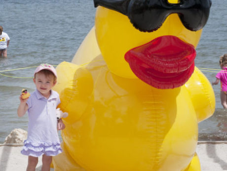 Duck Derby 2014