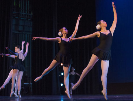 Beauty and talent: Vivi will captivate Vero audiences