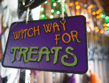 DINING: Ocean Grill is magical at Halloween