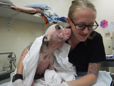 Police, Humane Society investigate animal abuse case