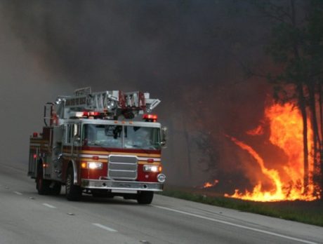 CAMERA: 2011 – A year in photos