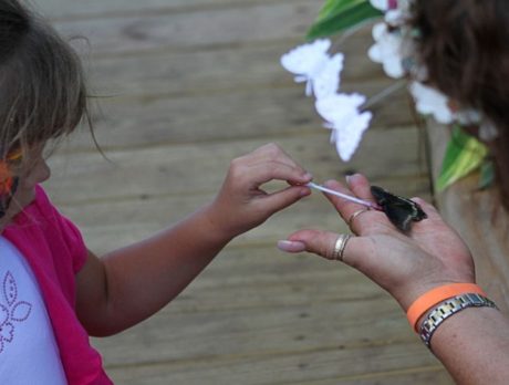 Butterfly house at LaPorte Farms
