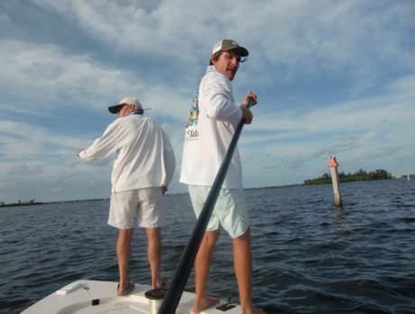 Seagrass threatened by Oslo Road boat ramp expansion
