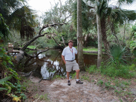 Beautiful but forgotten: Sebastian’s Stonecrop park