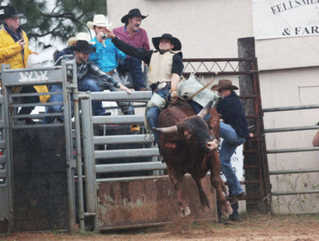 Bull Frog Bash Rodeo 2013