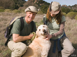 How to be the best pet owner you can be