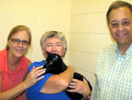 Find your purr-fect match at the Humane Society