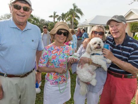 Every dog has a great day at Fredo’s birthday bash