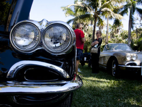 Corvette show at McKee Botanical Gardens