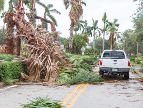 Matthew’s wrath turned away by ‘Kiss from God’