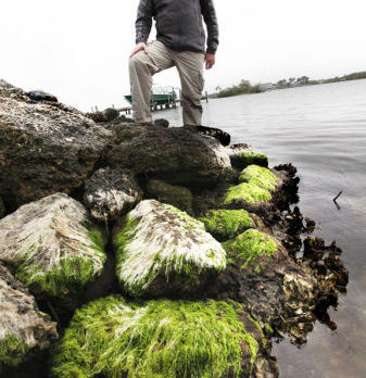 60,000 people ask commissioners to pass a fertilizer ordinance