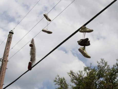 Have Camera: 2011 – A year in photos