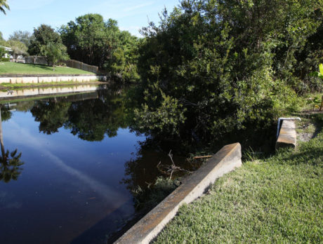 Sebastian Council facing possible class-action suit over seawalls