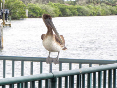 CAMERA: If you’re going fishing, bring your camera too!